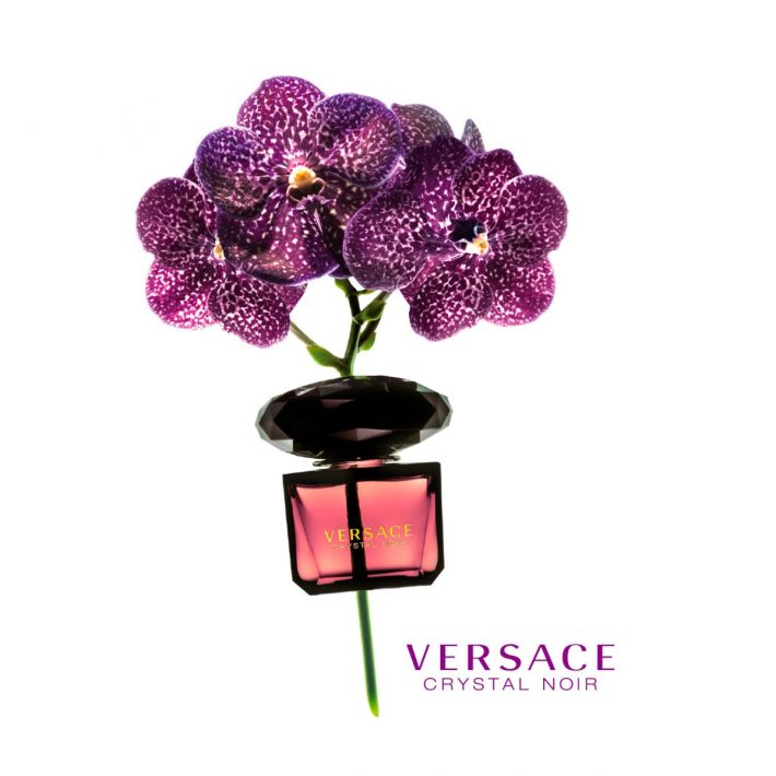 Versace Crystal Noir