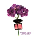 Versace Crystal Noir